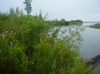 река Мишиха впадает в Байкал